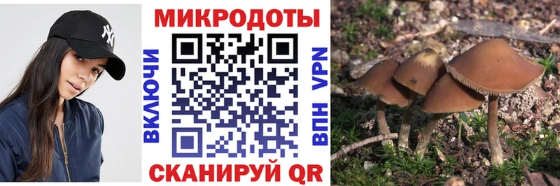Галлюциногенные грибы прущие грибы  Чебаркуль 